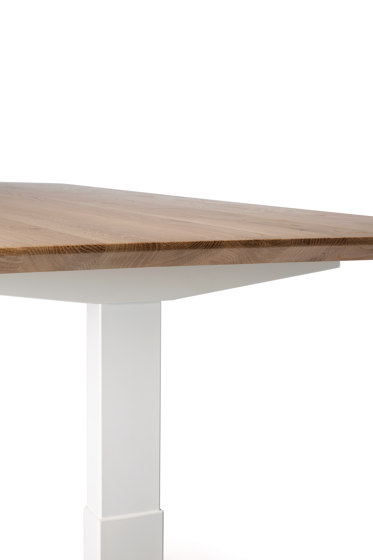 Bok | Oak adjustable desk - white frame - EU | Mesas contract | Ethnicraft