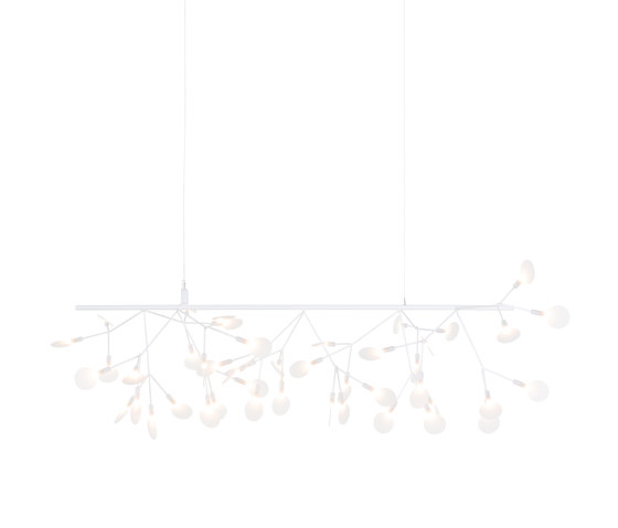 Heracleum Endless - White | Suspended lights | moooi