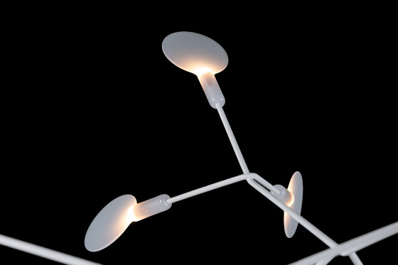Heracleum II Suspended - Small White | Lámparas de suspensión | moooi