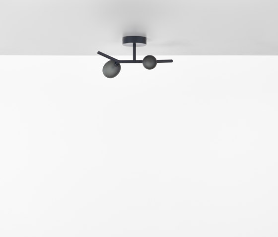 Ivy Ceiling 2 PC1224 | Ceiling lights | Brokis