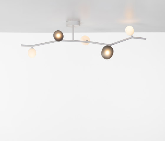 Ivy Ceiling 5 PC1226 | Ceiling lights | Brokis