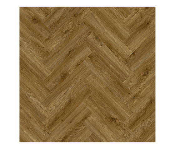Moduleo 55 Herringbone | Sierra Oak 58876 | Synthetic tiles | IVC Commercial