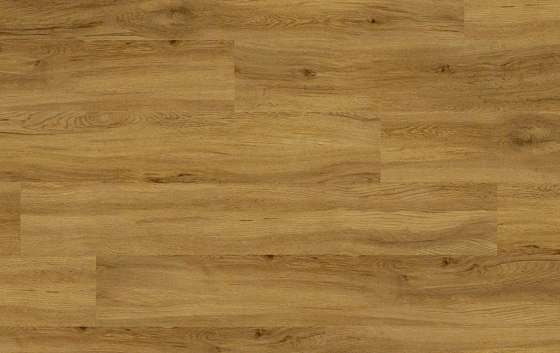 Floors@Work | 55 PW 3058 | Planchas de plástico | Project Floors