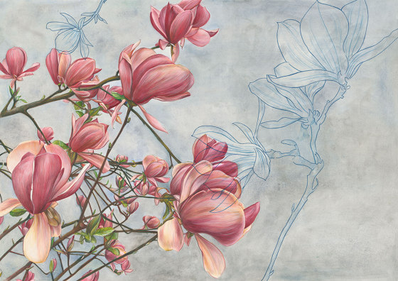 Magnolia in bloom | Peintures murales / art | TECNOGRAFICA