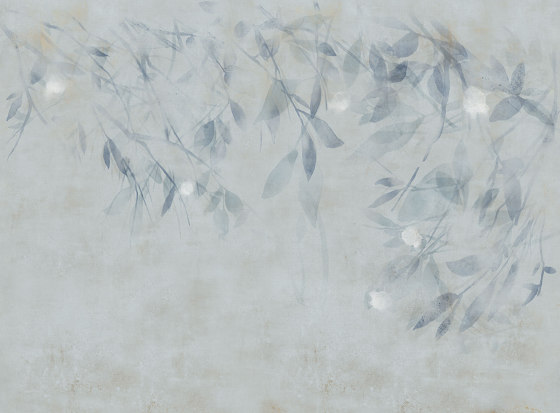 Willow Cold | Wandbilder / Kunst | TECNOGRAFICA