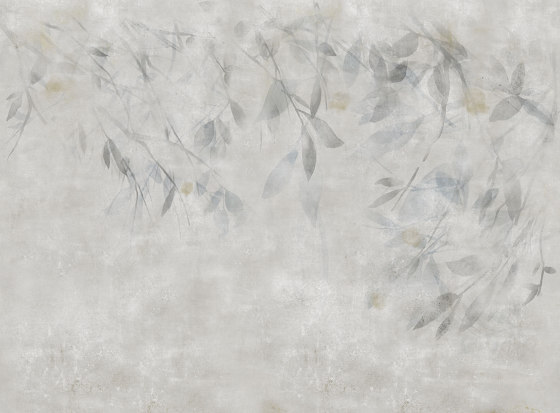Willow Grey Shade | Wandbilder / Kunst | TECNOGRAFICA