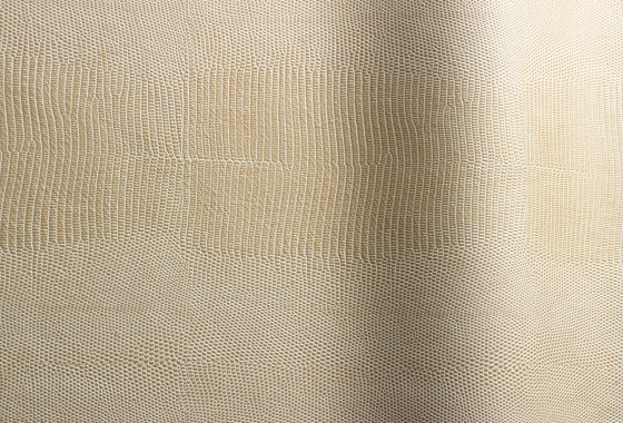 Alteyus 52100 | Natural leather | Futura Leathers