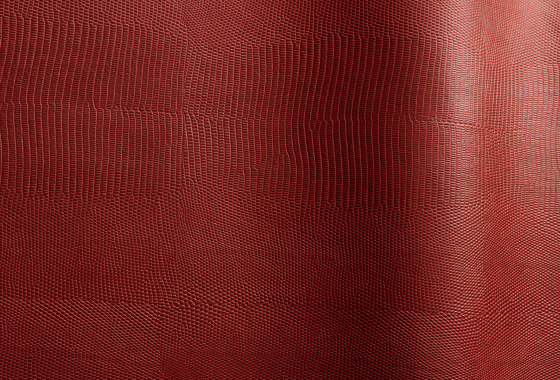 Alteyus 52162 | Natural leather | Futura Leathers