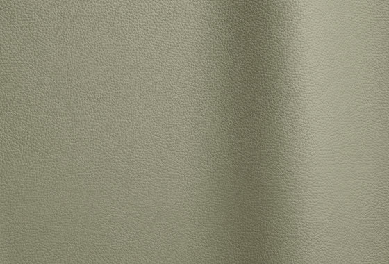 Bizon 141 | Cuero natural | Futura Leathers