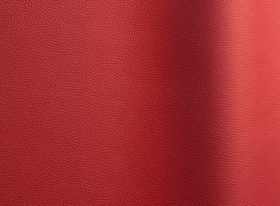 Bizon 154 | Cuero natural | Futura Leathers