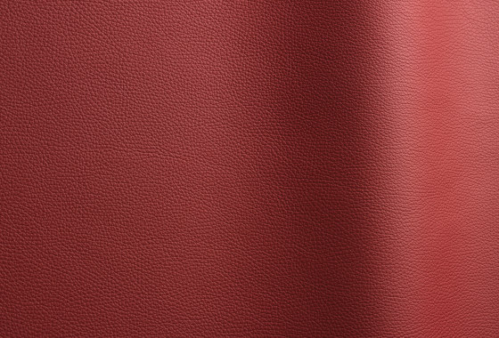 Bizon 165 | Natural leather | Futura Leathers