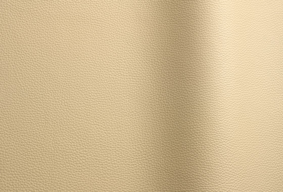 Bizon 4116 | Natural leather | Futura Leathers