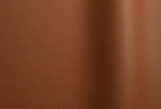 Bizon 4118 | Natural leather | Futura Leathers
