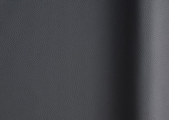 Bizon 423 | Natural leather | Futura Leathers