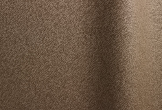Bizon 429 | Natural leather | Futura Leathers