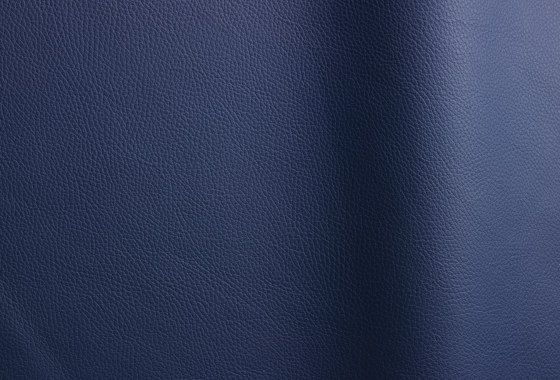 Bizon 444 | Natural leather | Futura Leathers