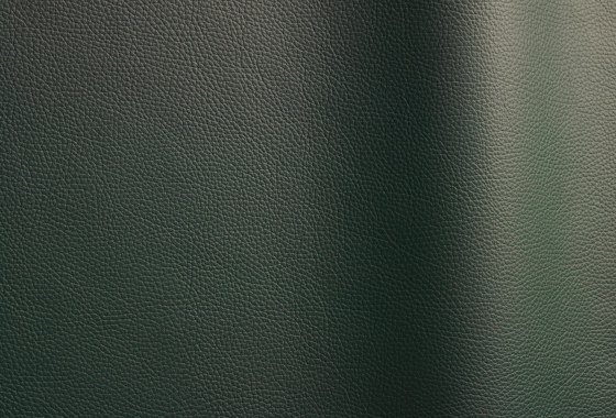 Bizon 454 | Natural leather | Futura Leathers