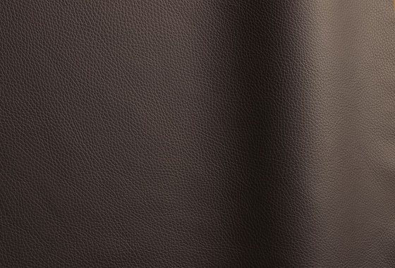 Bizon 458 | Cuir naturel | Futura Leathers