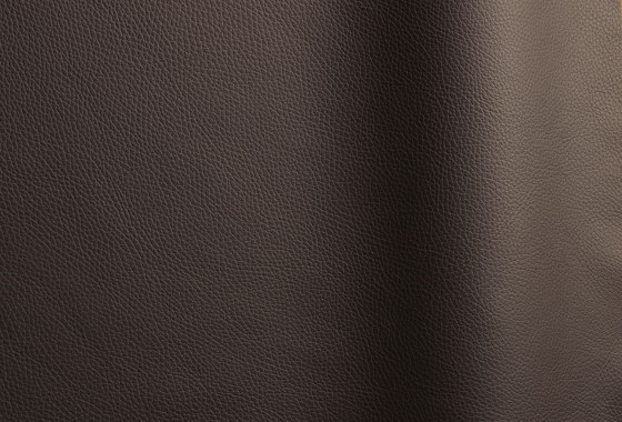 Bizon 458 | Natural leather | Futura Leathers