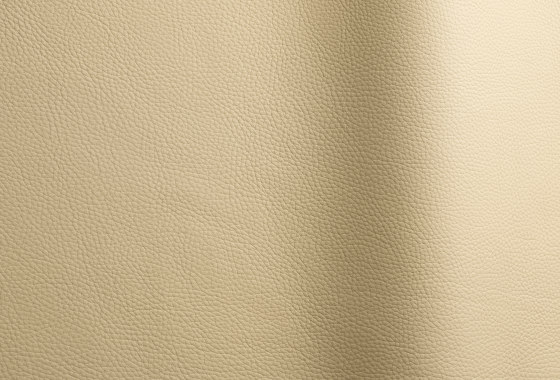 Bizon 463 | Natural leather | Futura Leathers