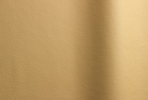 Bizon 468 | Natural leather | Futura Leathers