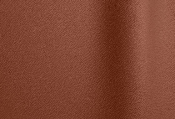Bizon 480 | Cuero natural | Futura Leathers