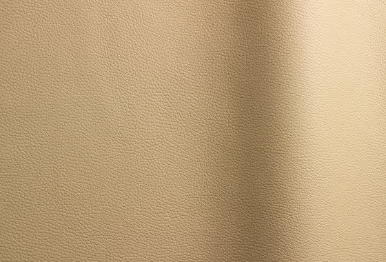 Bizon 481 | Natural leather | Futura Leathers