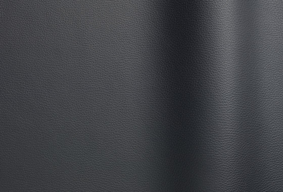 Bizon 5002 | Naturleder | Futura Leathers
