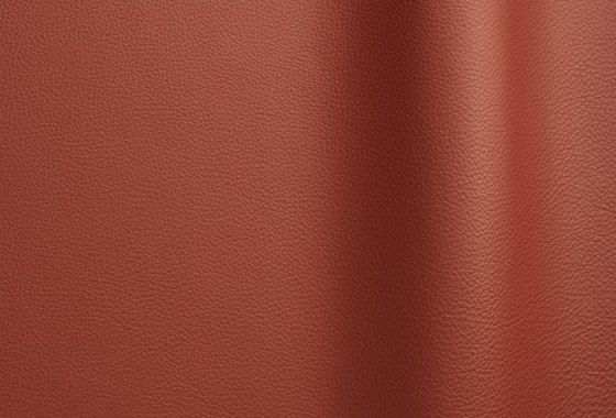 Bizon 5009 | Natural leather | Futura Leathers