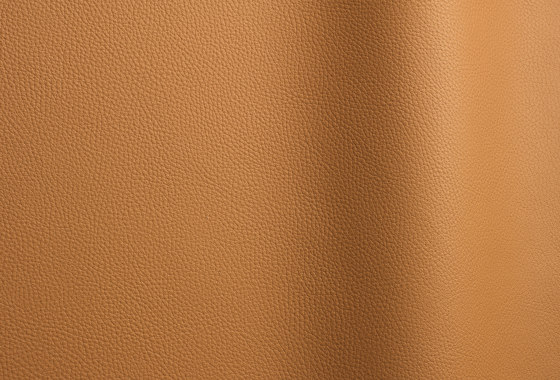 Bizon 5011 | Natural leather | Futura Leathers