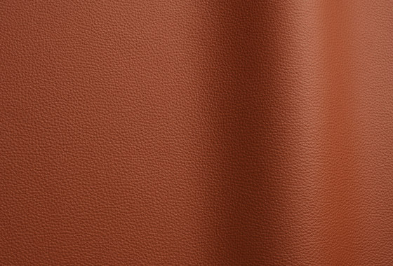Bizon 5016 | Cuero natural | Futura Leathers