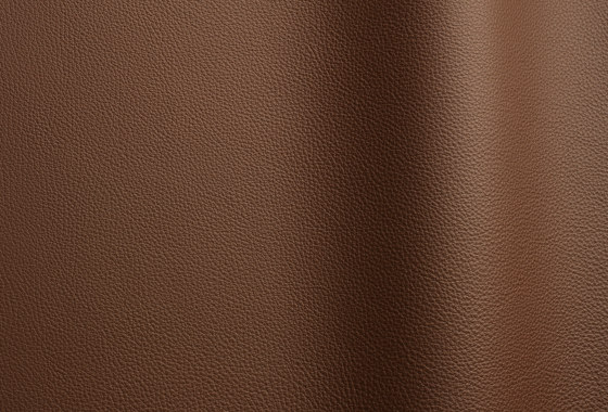 Bizon 5017 | Cuero natural | Futura Leathers