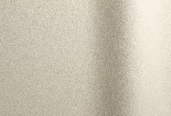 Bizon 622 | Natural leather | Futura Leathers