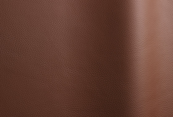 Bizon 633 | Cuero natural | Futura Leathers