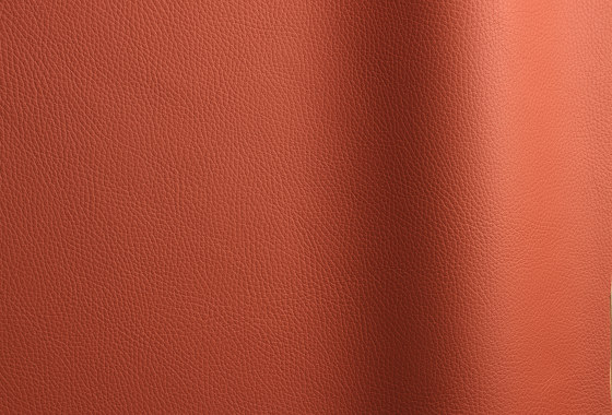 Bizon 688 | Natural leather | Futura Leathers