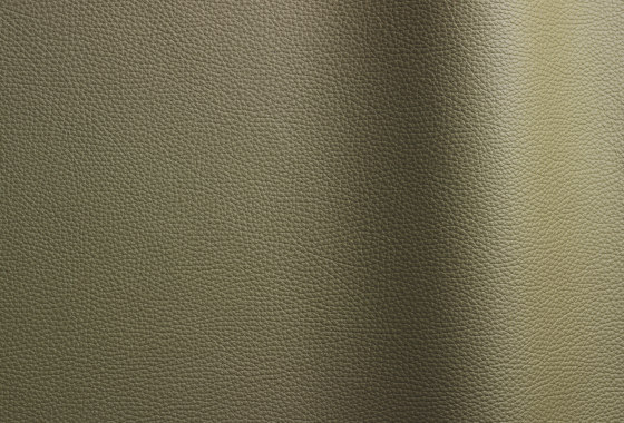 Bizon 8371 | Natural leather | Futura Leathers