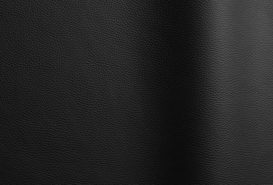 Bizon Black | Cuir naturel | Futura Leathers