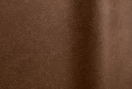 Etna 16124 | Naturleder | Futura Leathers