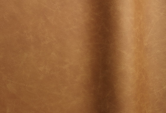 Etna 16140 | Natural leather | Futura Leathers