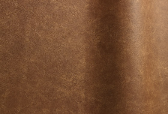 Etna 16142 | Natural leather | Futura Leathers