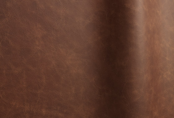 Etna 16150 | Natural leather | Futura Leathers