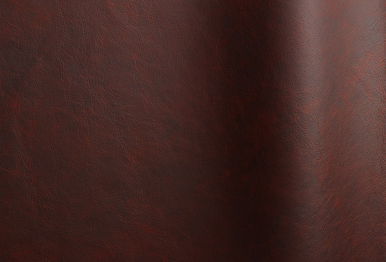 Etna 16166 | Natural leather | Futura Leathers