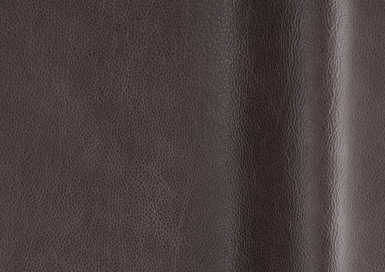 Fabiano Elephant | Natural leather | Futura Leathers