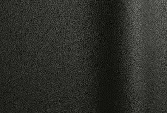 Horizonte 700 | Natural leather | Futura Leathers