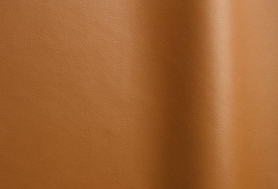 Lena 5478 | Natural leather | Futura Leathers
