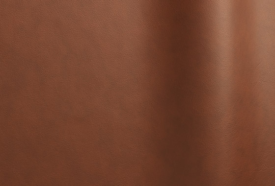 Lena 643 TT | Natural leather | Futura Leathers