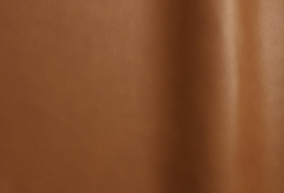 Lena 665 TT | Natural leather | Futura Leathers