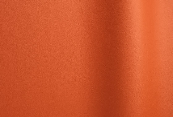 Lena 6688 | Natural leather | Futura Leathers