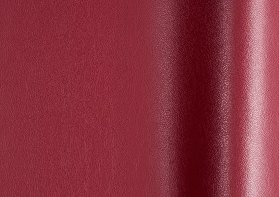 Lena 7702 | Natural leather | Futura Leathers