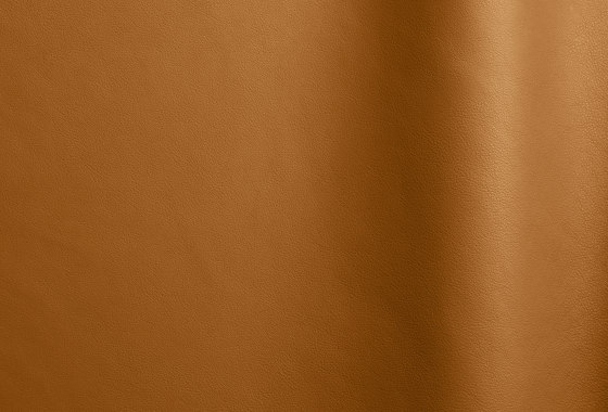 Nappa Leder 10040 | Natural leather | Futura Leathers